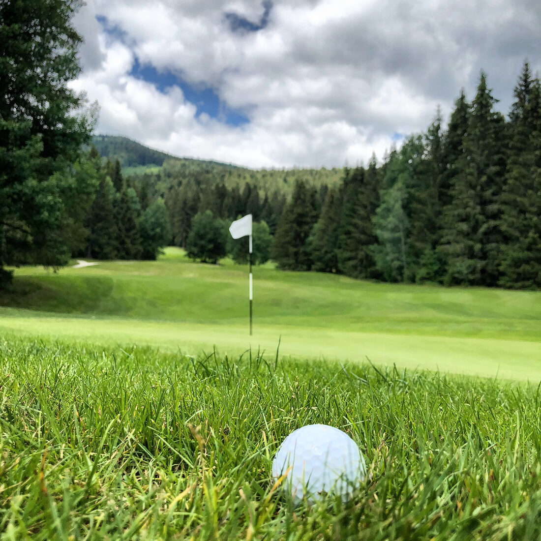 Gray Bear golf course at Tále